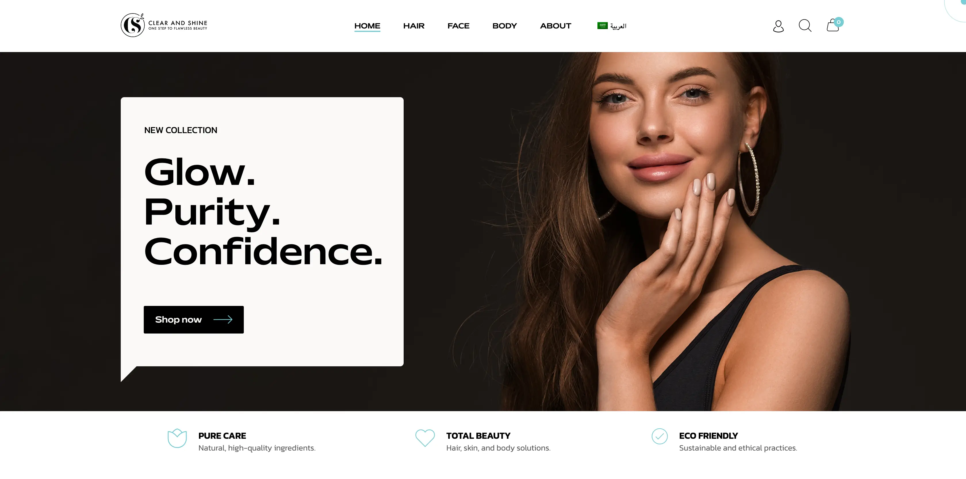 Clear & Shine website